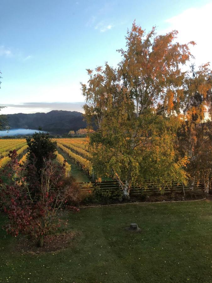 Vineyard Cottage In Blenheim On The Golden Mile Kültér fotó