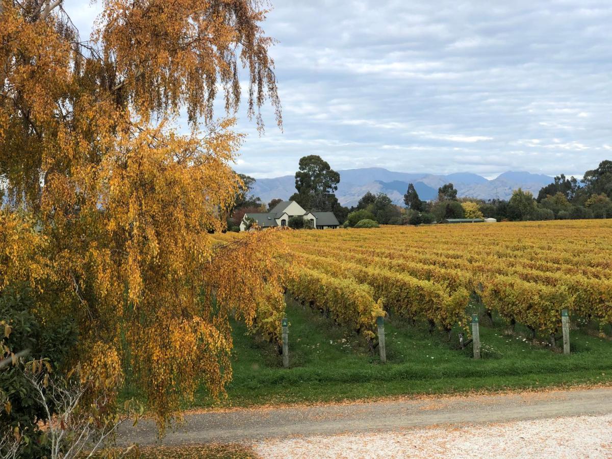Vineyard Cottage In Blenheim On The Golden Mile Kültér fotó